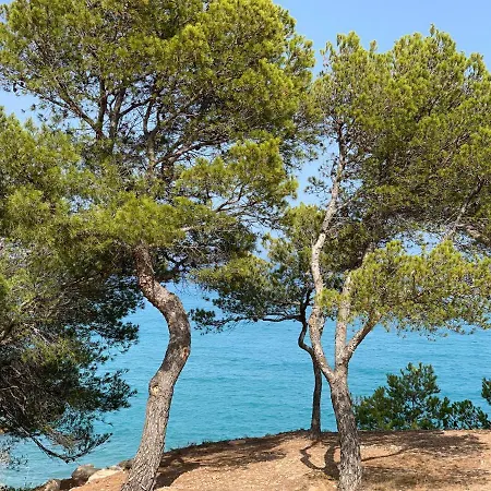 Villa Vista